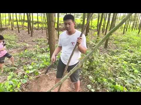 How to survive in the forest with a group Part 12