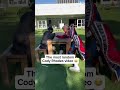 Most Random Cody Rhodes Video Wwe Codyrhodes Shorts Most Random Cody Rhodes Video Wwe Codyrhodes Shorts