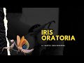 La mantis mediterránea IRIS ORATORIA | Diferencia con mantis religiosa