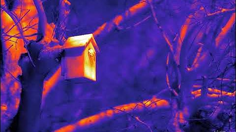 Spring is coming │LYNRED