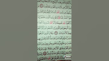 ومن الناس من يتخذ من دون الله اندادا. سورة البقرة قراءة مميزة جميلة الشيخ علي الحذيفي الحرم النبوي