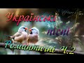 Українські романтичні пісні Частина 2