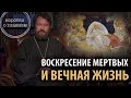 Воскресение мертвых и вечная жизнь.10 тезисов митрополита Илариона. Цикл "Православное вероучение"