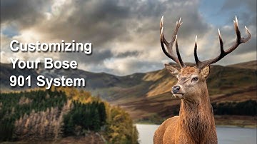 Customizing Your Bose 901 Audio System