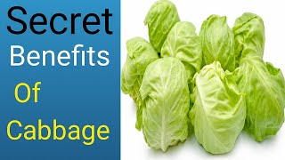 What Happen to Your Body When You Eat Cabbage Every Day |