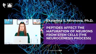 Peptides affect the maturation of neurons from stem cells (the neurogenesis process)