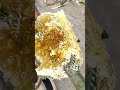 Honey harwesting video 😝😝😝