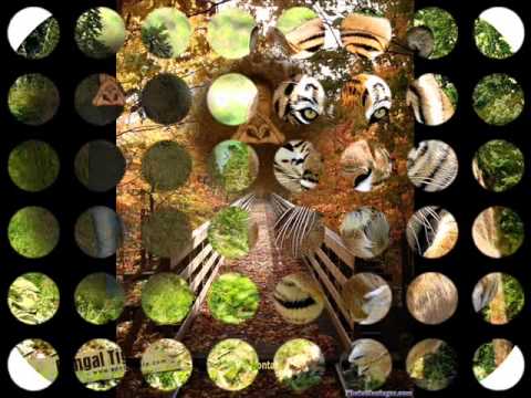 حسين الجسمي بتشبه عليه