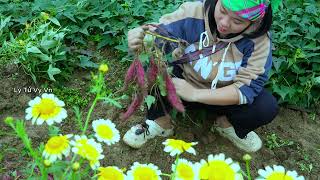 Download Lagu Kind-hearted man gives single mother a new house - Ly Tu Vy MP3