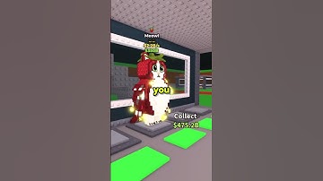 MEOWL Has A Problem..