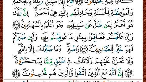 ختمة مصحف التجويد برواية قالون الصفحة رقم 281