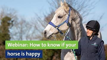Webinar: How to know if your horse is happy
