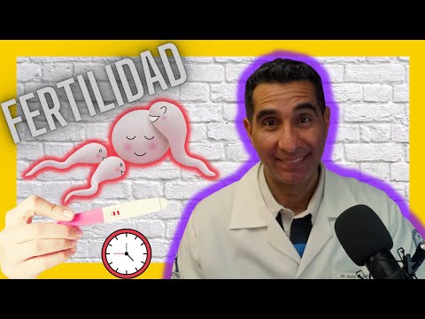 Video: ¿A qué edad eres más fértil?