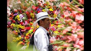 Pista de Trova Dobletiada - Homenaje a Antioquia y sus Trovadores