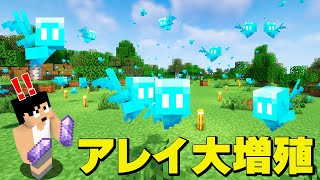 【アプデ】アレイを大繁殖させてみたｗｗｗ【1.19.1】【マイクラ】PART211