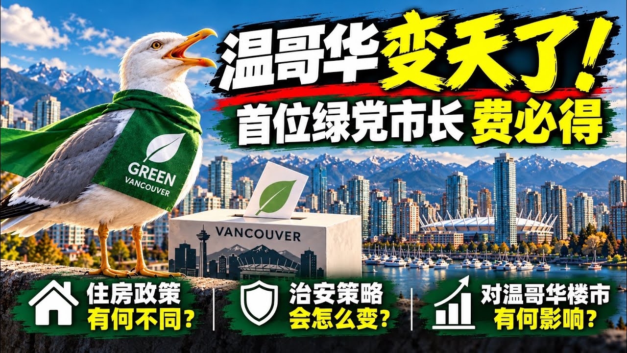 Andy张震欧地产公司