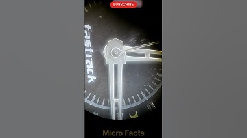 Watch under the microscope. #shorts #microfact #stereo