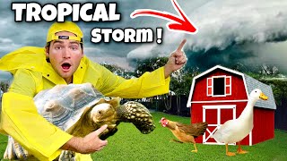 Preparing All Of My Animals For Tropical Storm Hurricane !