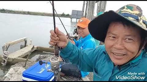 Câu cá bống đục vũng tàu , Điểm mới giật mỏi tay