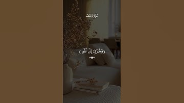 قال إنما أشكو بثي وحزني إلى الله وأعلم من الله ما لا [ يوسف: 86] #تلاوة_هادئة #قران_كريم #المصحف
