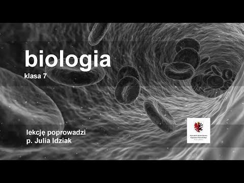 Klasa 7 - Biologia - ośrodkowy układ nerwowy | szkoła