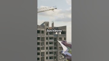 Architectural vs Civil vs Structural Engineering: What