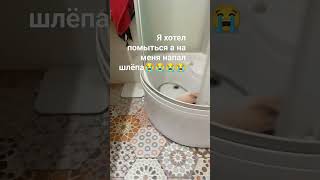 хотел помыться а тут😱