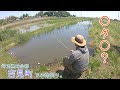 久しぶりに新魚種が釣れました！！！ 〇タ〇って珍しいのかな？？ 埼玉県比企郡 吉見町で小物釣り。
