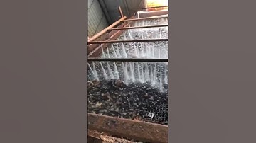 Vibrating screen, stone screening and cleaning work video.