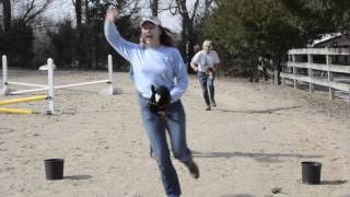 Sunny Oak Equine Assisted Activities is hosting our first annual Stick Horse Show on March 19, 2017. Similar to any horse show, 