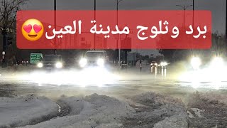 بردية مدينة العين 12-2-2024