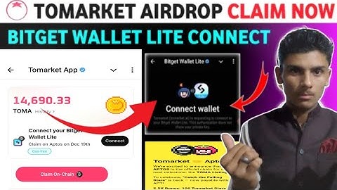 tomarket new update wallet connect ll tomarket wallet connect bitget big update tomarket