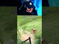 Ela sobreviveu a um ATAQUE de GANSOS sem DERRUBAR a BEBIDA! 🍷 #react