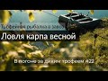 Ловля карпа весной. Карпфишинг на диком водоеме. В погоне за диким трофеем #22.