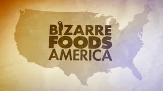 Bizarre Foods America S4 x E06 Rhode Island