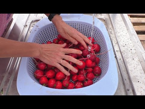 Индюки в шоке