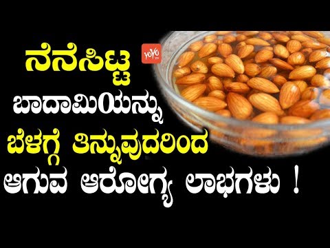 ನೆನೆಸಿಟ್ಟ ಬಾದಾಮಿಯನ್ನು ಬೆಳಗ್ಗೆ ತಿನ್ನುವುದರಿಂದ ಆಗುವ ಆರೋಗ್ಯ ಲಾಭಗಳು ! | ನೆನೆಸಿದ ಬಾದಾಮಿಯ ಪ್ರಯೋಜನಗಳು ಕನ್ನಡ