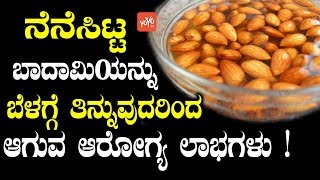 ನೆನೆಸಿಟ್ಟ ಬಾದಾಮಿಯನ್ನು ಬೆಳಗ್ಗೆ ತಿನ್ನುವುದರಿಂದ ಆಗುವ ಆರೋಗ್ಯ ಲಾಭಗಳು ! |浸したアーモンドはカンナダ語に利益をもたらします