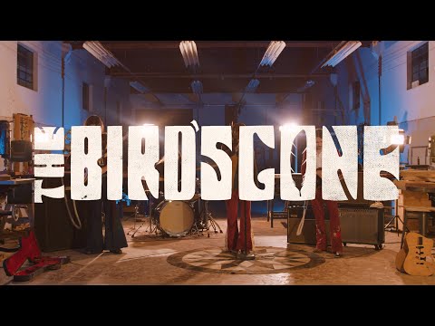 Hurricanes | The Bird's Gone (Official Video)