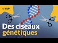 Crisprcas9  dcouper ladn pour lutter contre des maladies rares  reportage