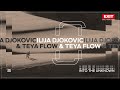 Ilija Djokovic &amp; Teya Flow - &quot;Into The Unknown&quot; (Official Lyrics Video)