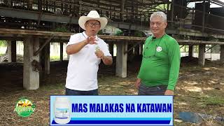 AGRITV Agrihan Tayo ni Charlie Cruz by FEI sa Cailles Goat Farm para sa Milking Goat June 17, 2023