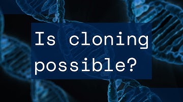 Is human cloning possible? Science explained