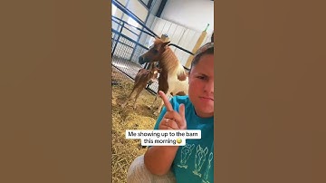 Throwback! Woke up to a brand new baby horse this morning—did not see that coming.