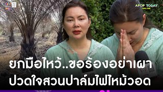 “บุ๋ม ปนัดดา” ไหว้ขอร้องอย่าเผา ปวดใจสวนปาล์มโดนไฟไหม้วอด 50 ไร่ | Apop Today Online