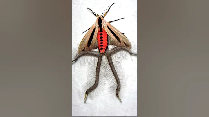 Incredible Rare Photos [Part 14]