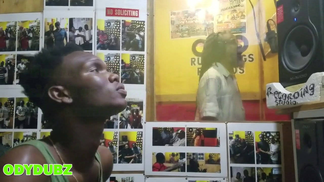 HALF PINT -  POLITICAL FICTION