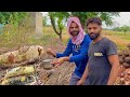 Organic Honey Harvesting in Our Village