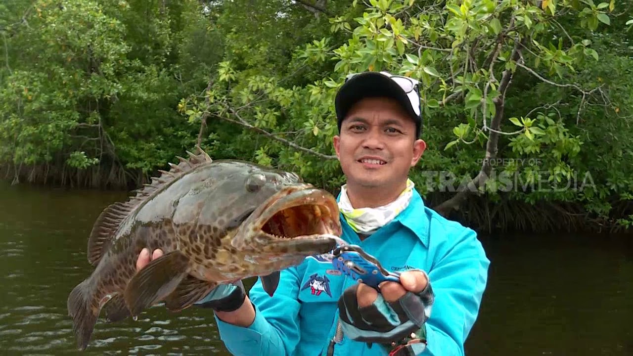 Umpan Lumut Ikan Nila Liar Di Sungai Ikan Sungai Warna Air