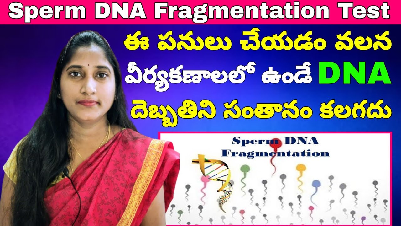 DNA Sperm DNA Fragmentation Test In Telugu Semen dna-sperm-dna-fragmentation-test-in-telugu-semen